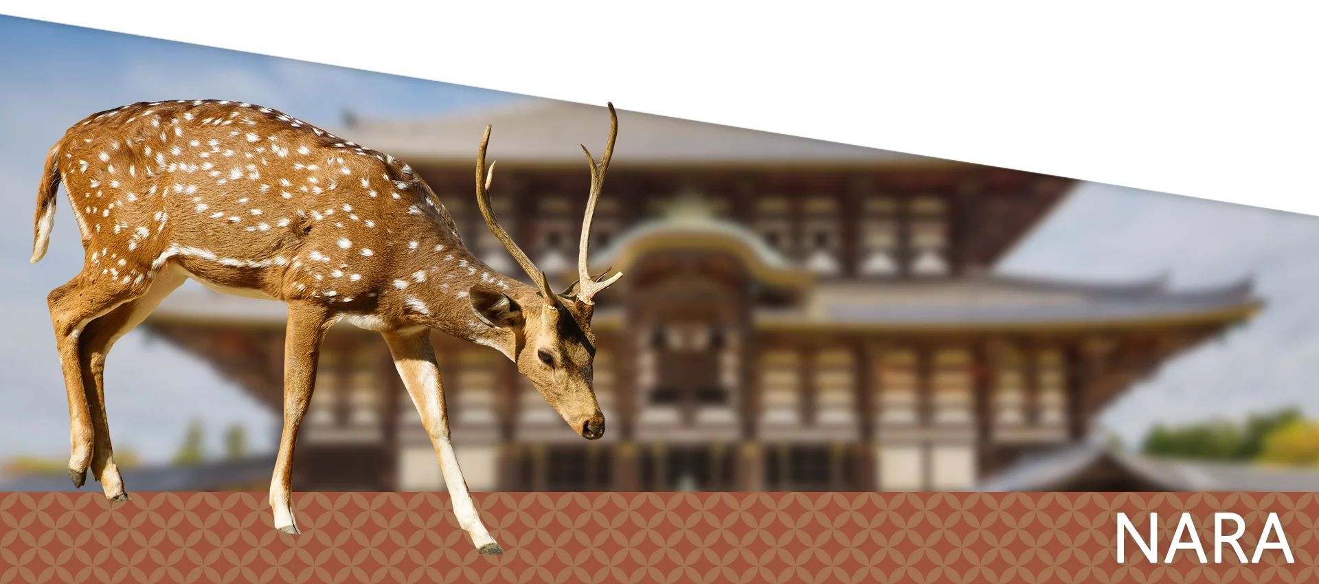 Baner zachecajacy do zwiedzania miasta Nara w Japonii